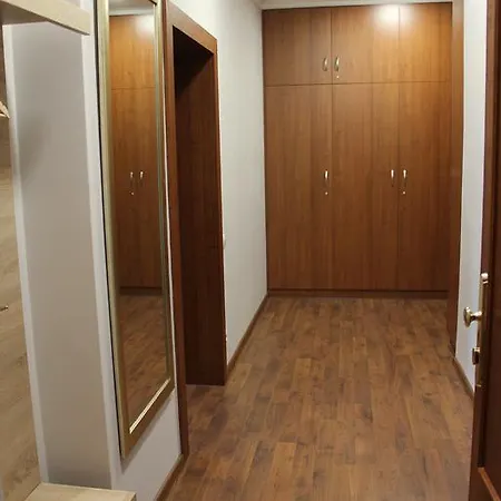 Jurincom Apartments Na Vyhlidce 卡罗维发利 外观 照片